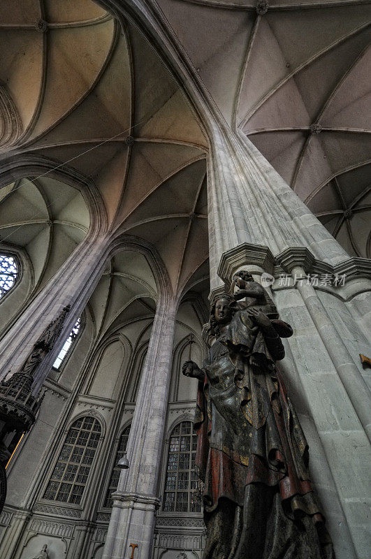 在少数民族教堂(维也纳)的HDR -灰修士教堂
